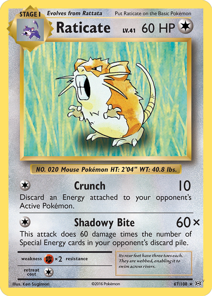 Raticate