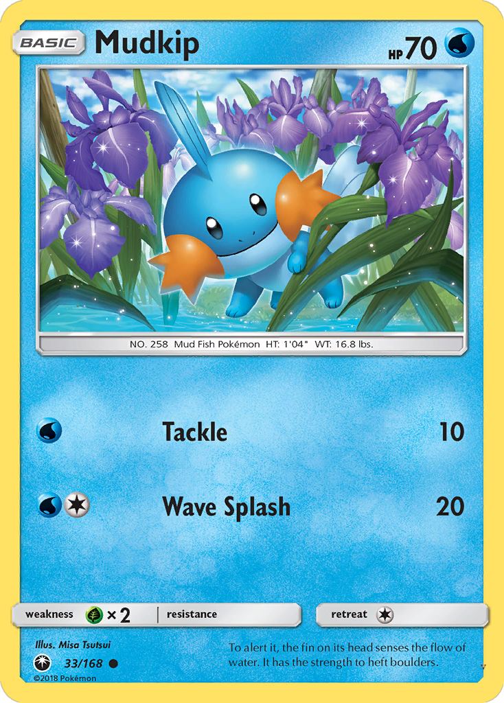 Mudkip