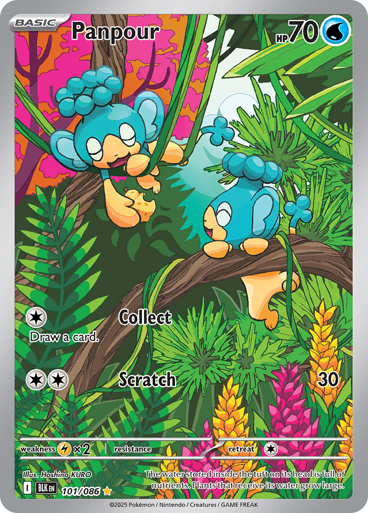 Card 101