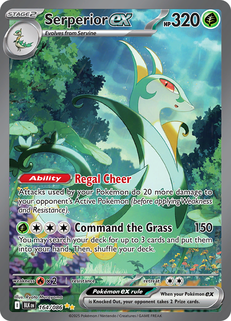 Card 164