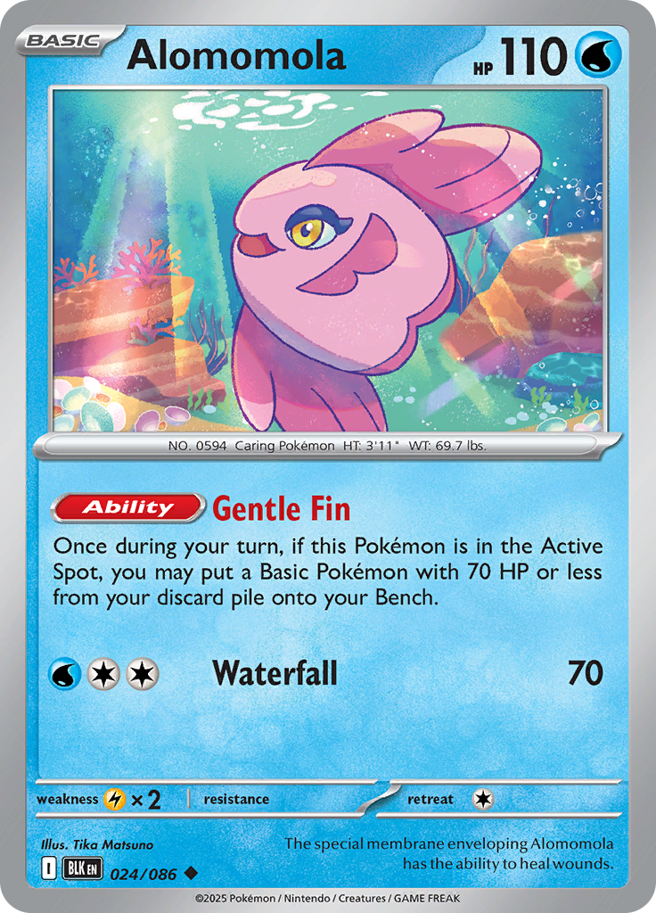 Card 24