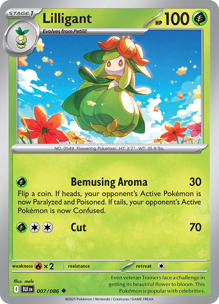 Card 7