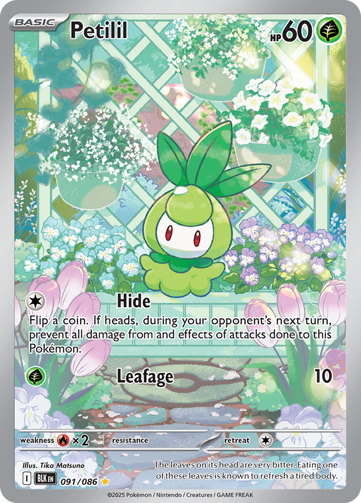 Card 91
