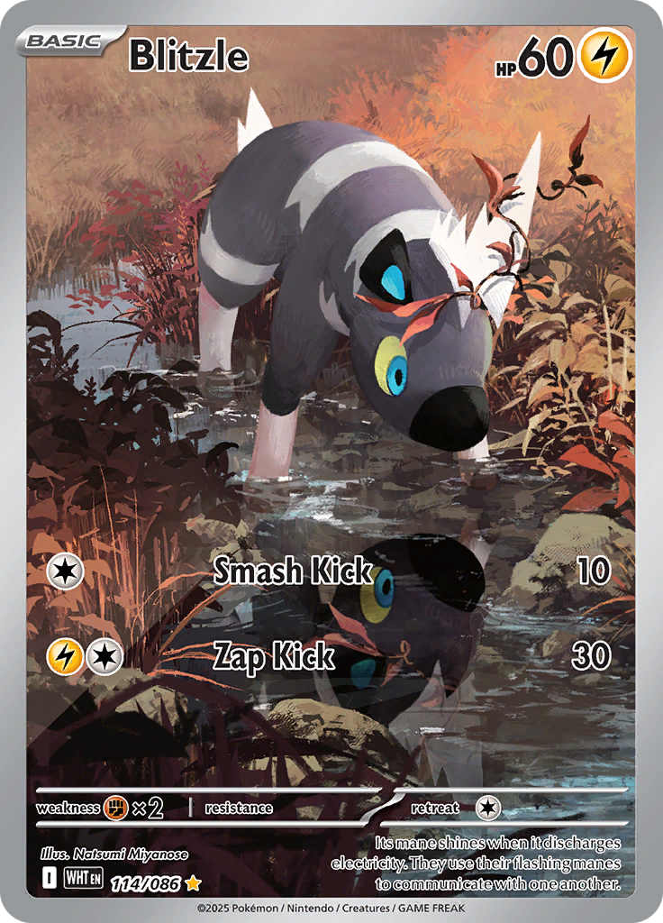 Card 114