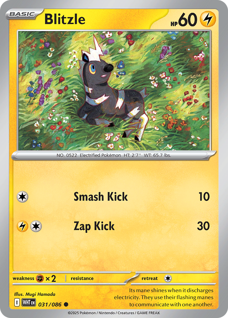 Card 31