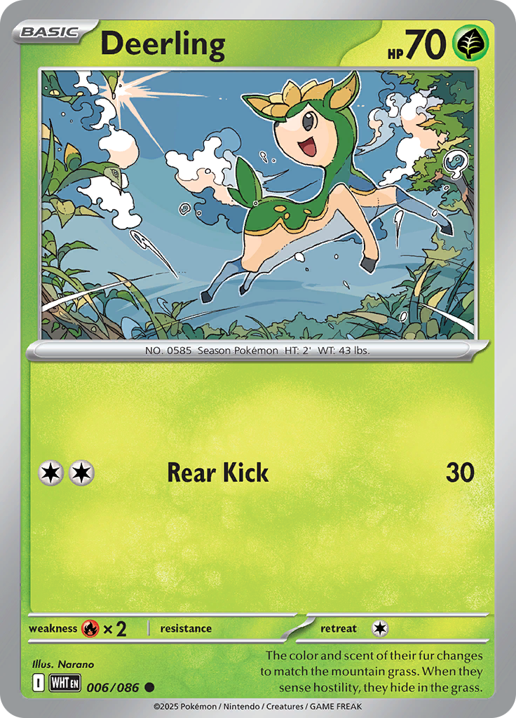 Card 6