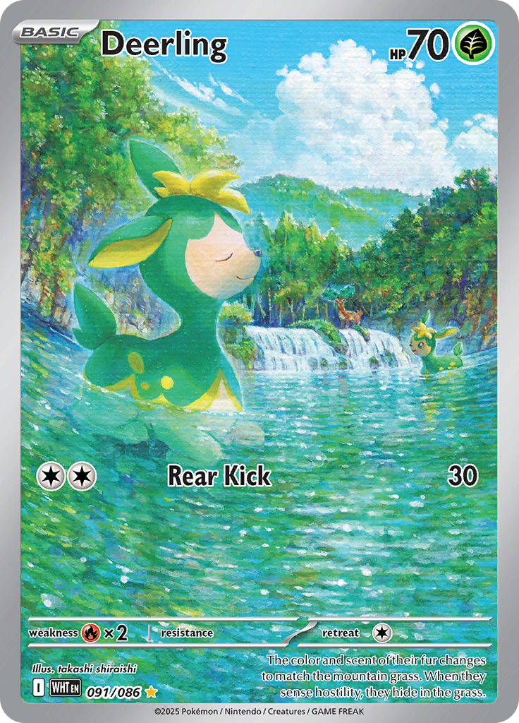 Card 91