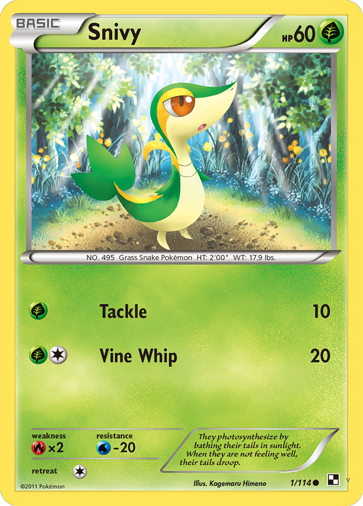 Card 1