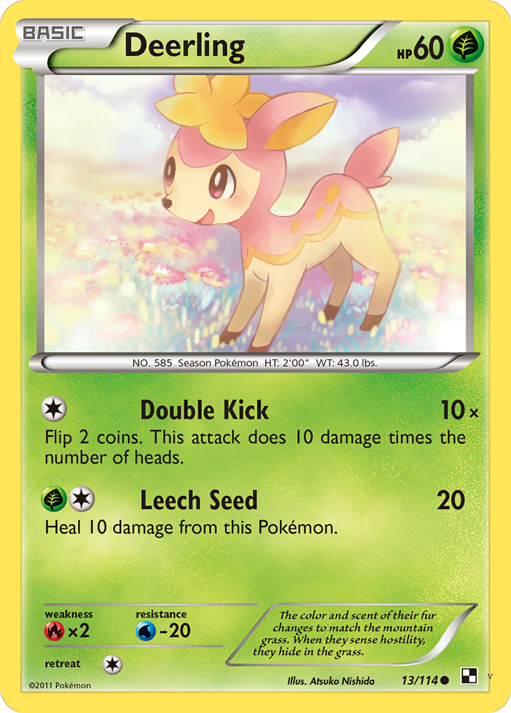 Card 13