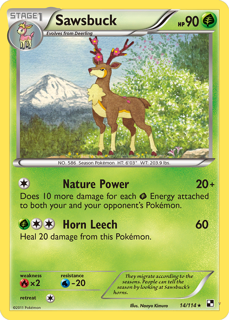 Card 14