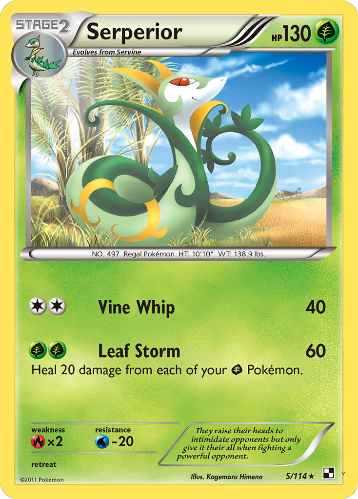 Card 5