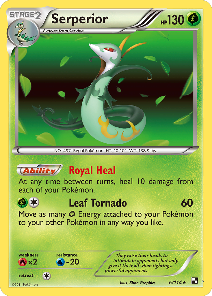 Card 6
