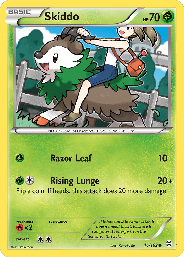 Card 16