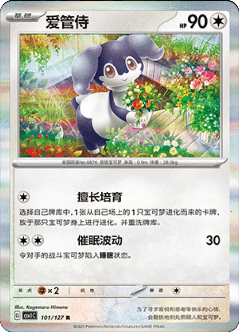 Card 101