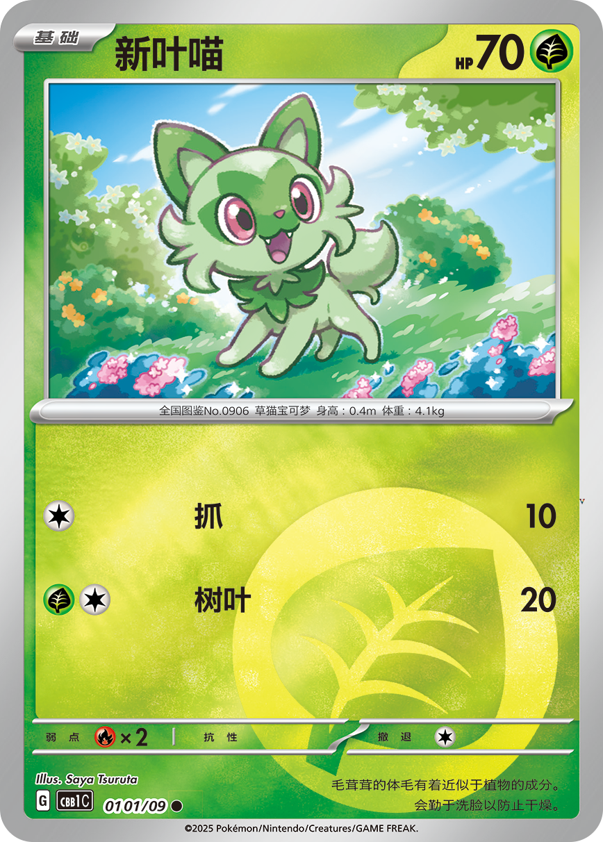 Card 01_01