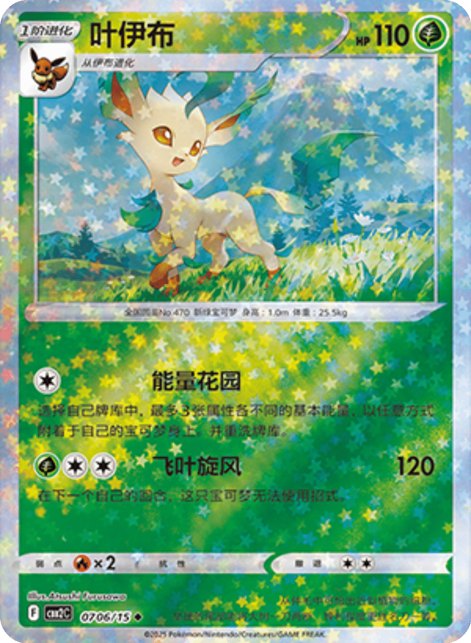 Card 07_06