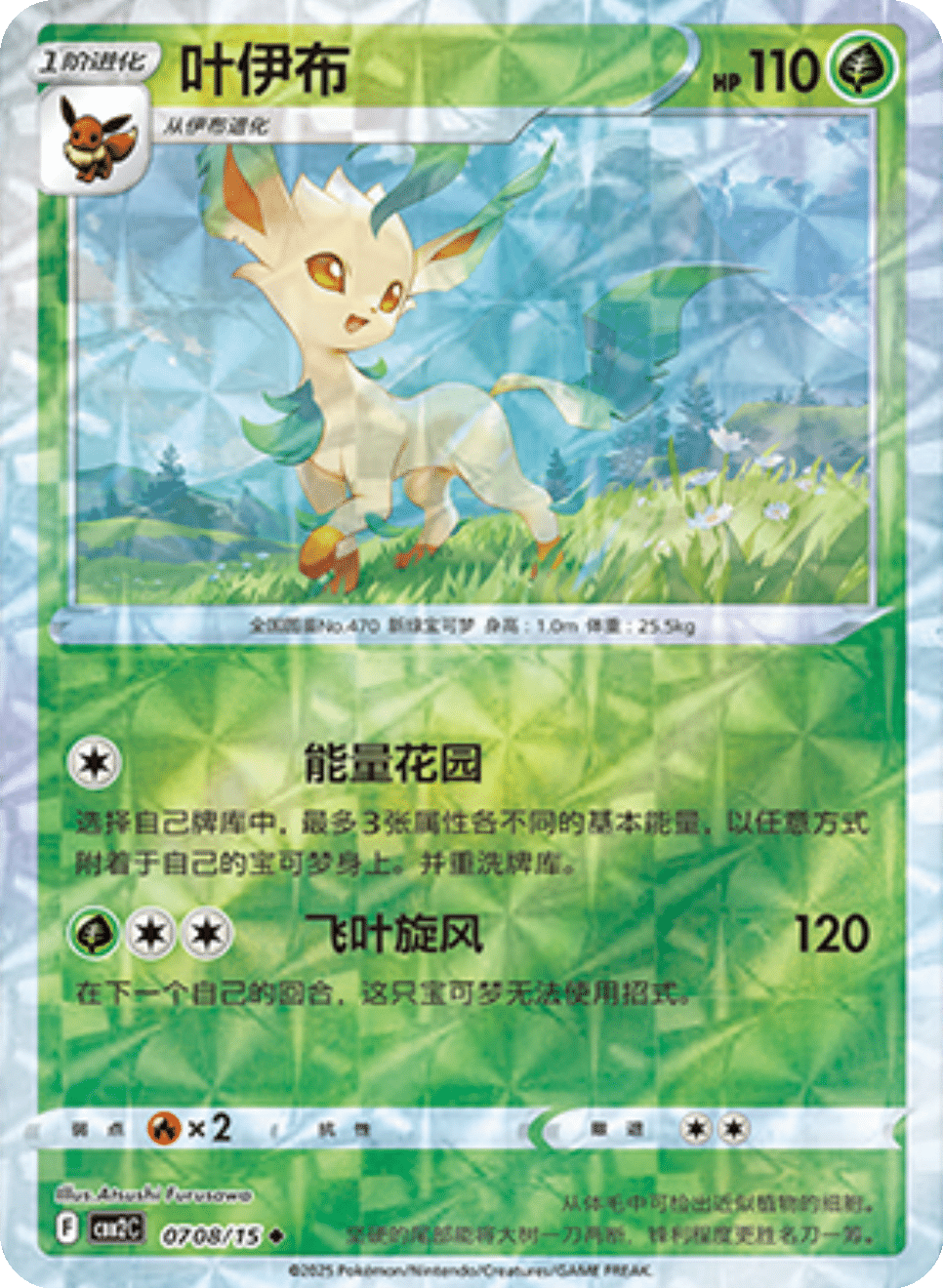 Card 07_08