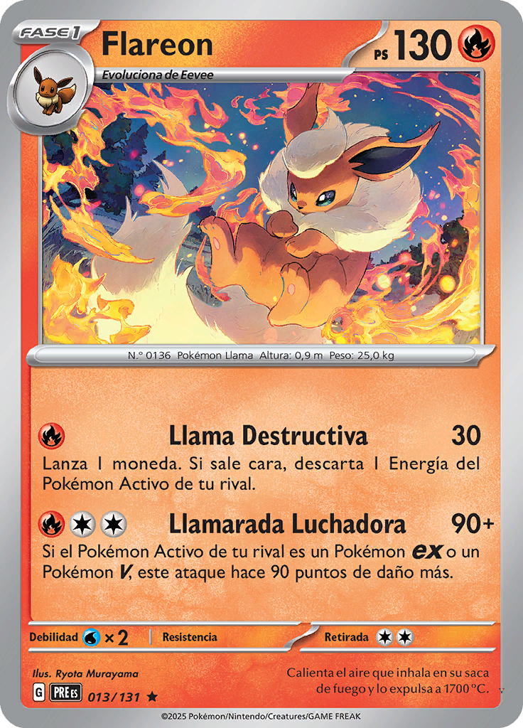Card 13