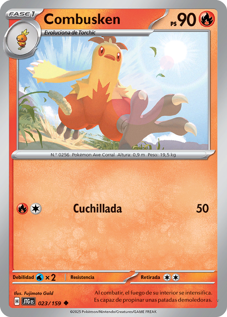Card 23
