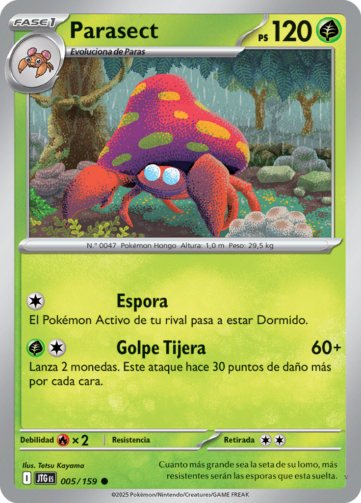 Card 5