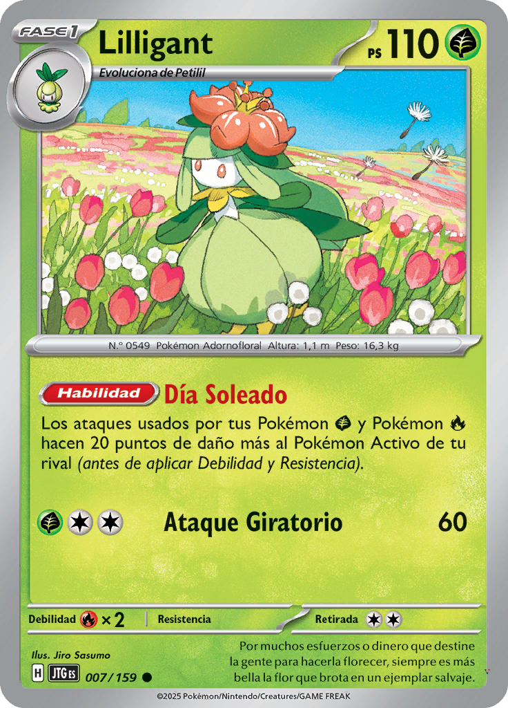 Card 7