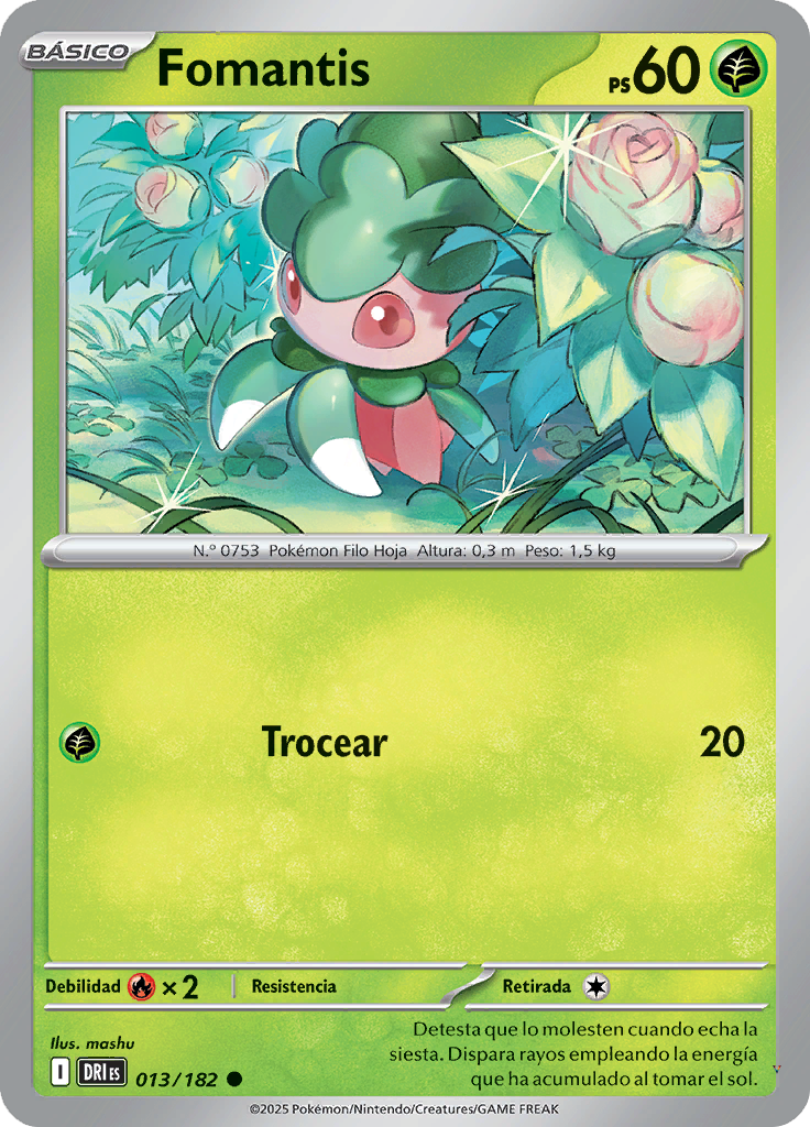 Card 13