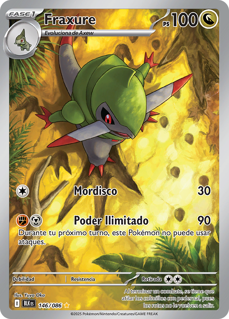 Card 146