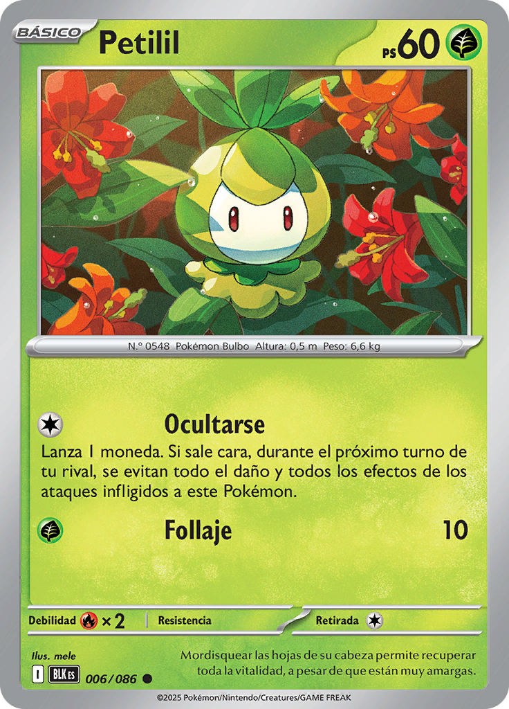 Card 6