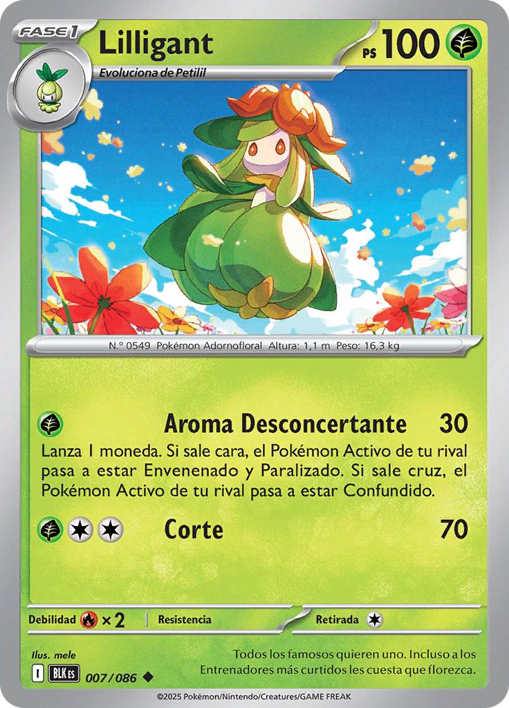 Card 7