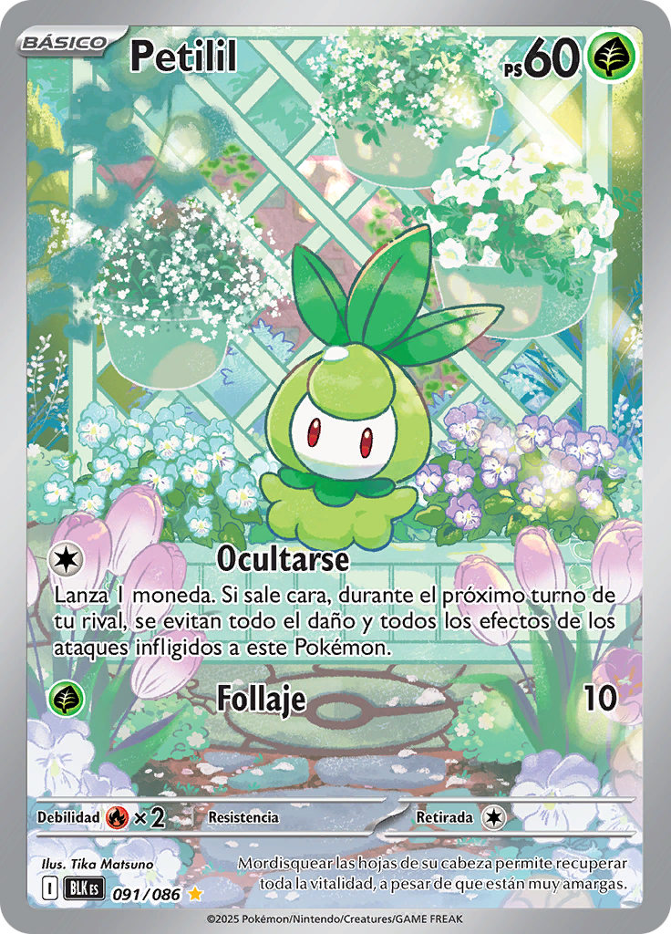 Card 91