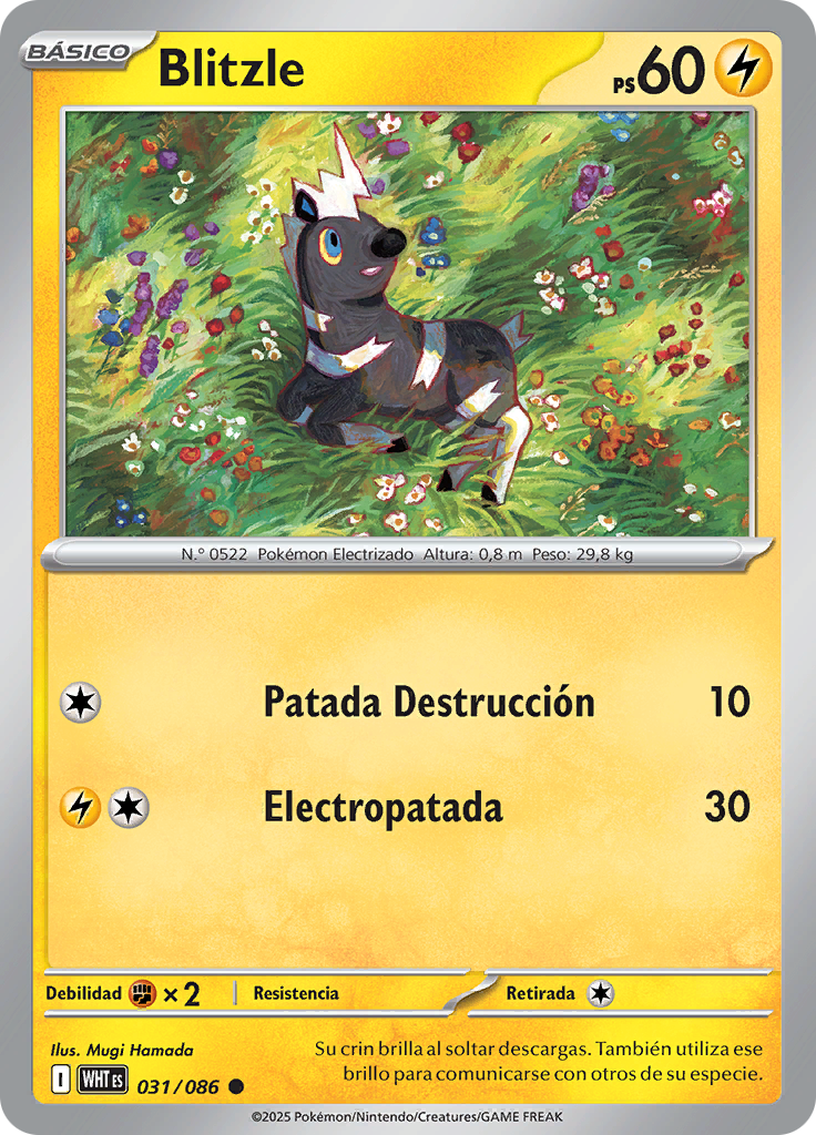 Card 31