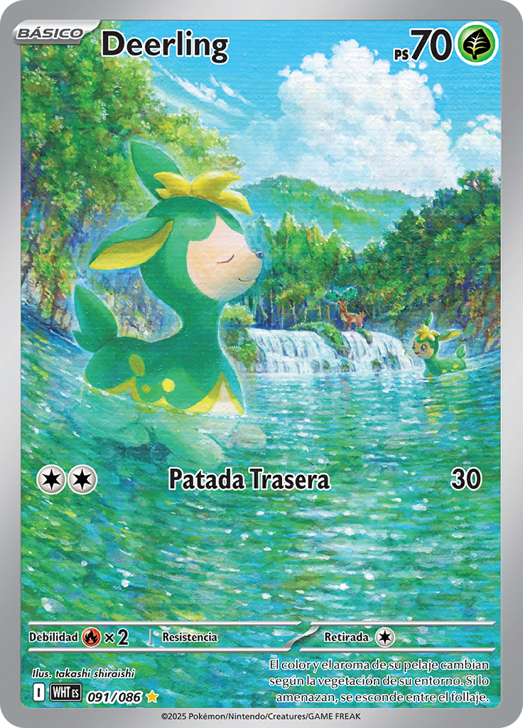 Card 91