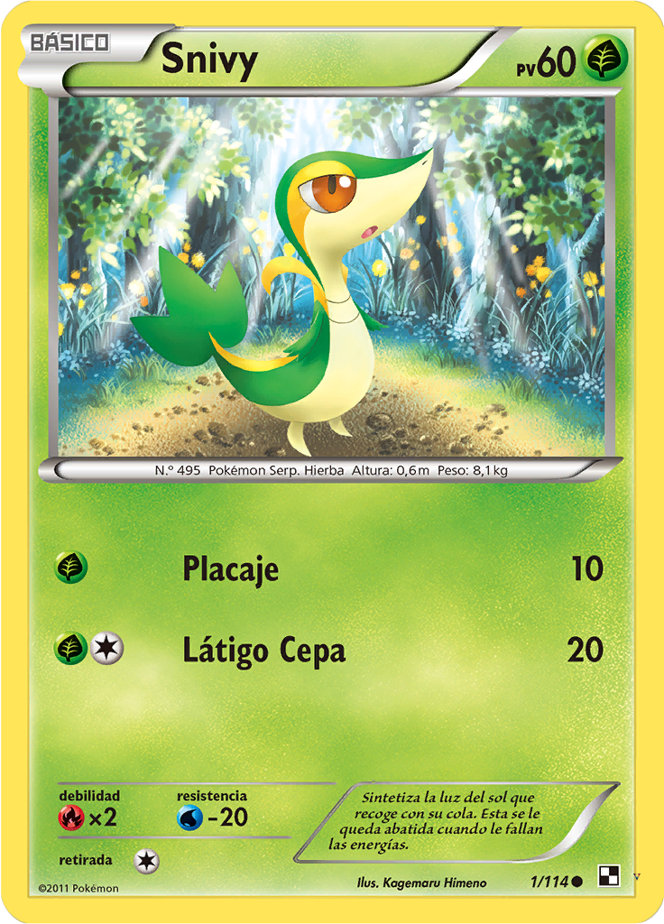 Card 1