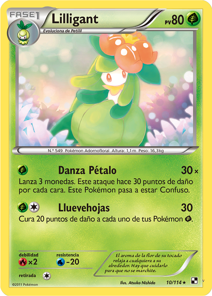 Card 10