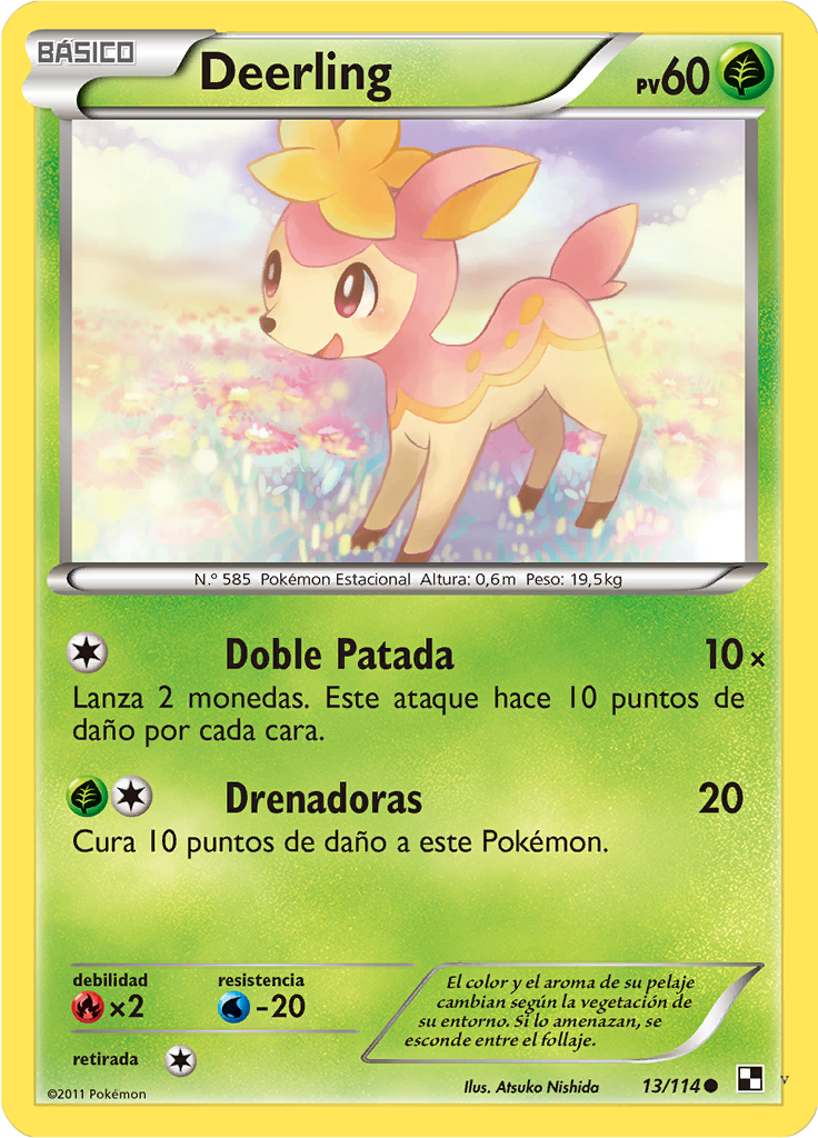 Card 13