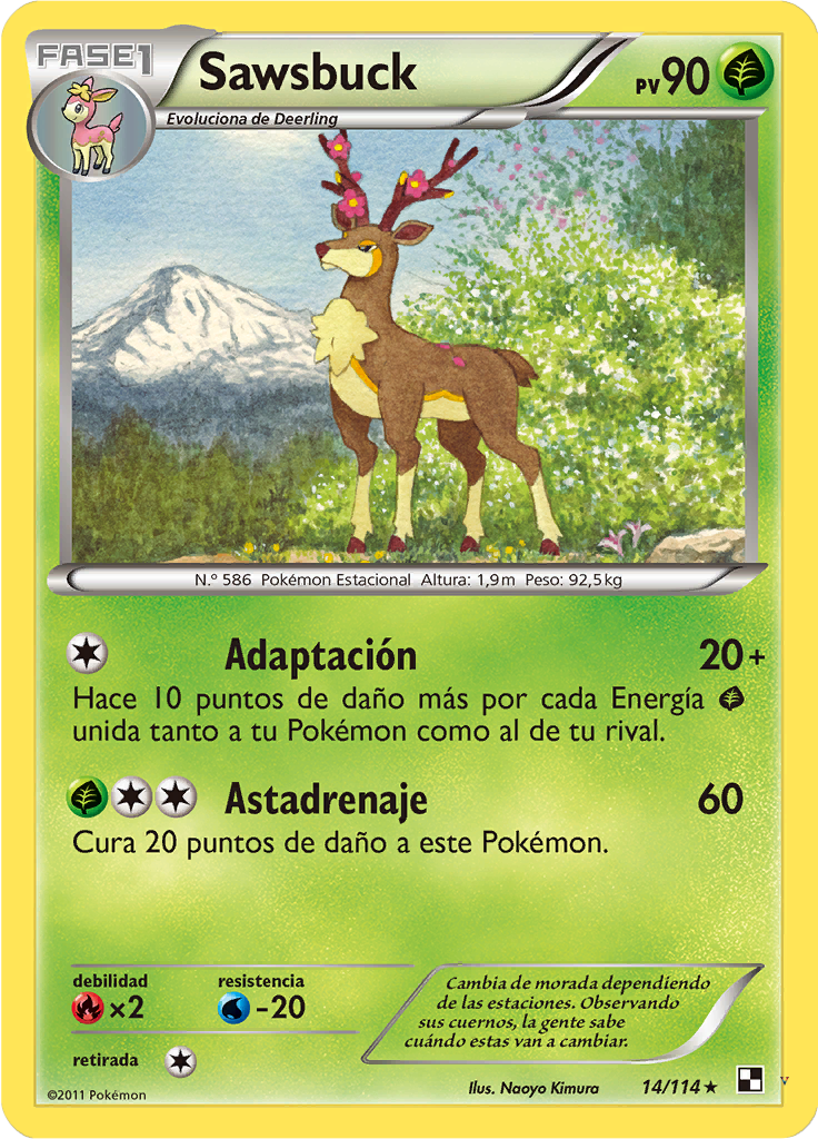 Card 14