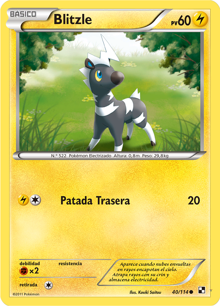Card 40