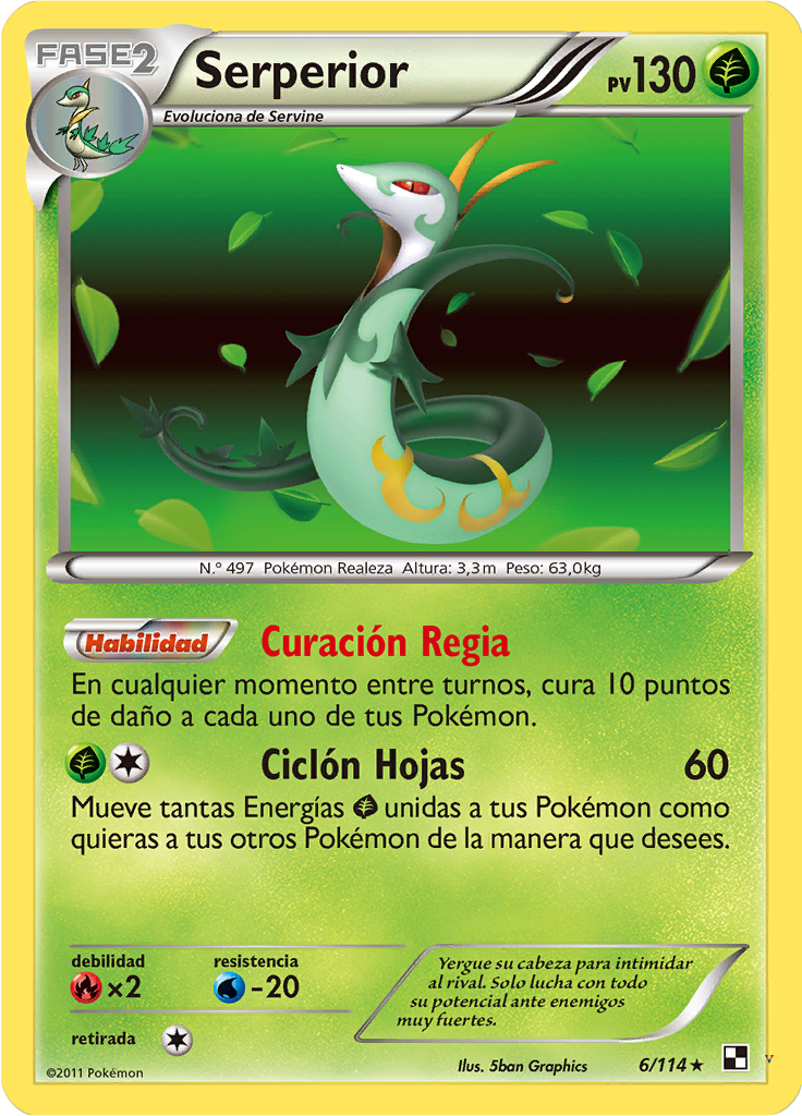 Card 6