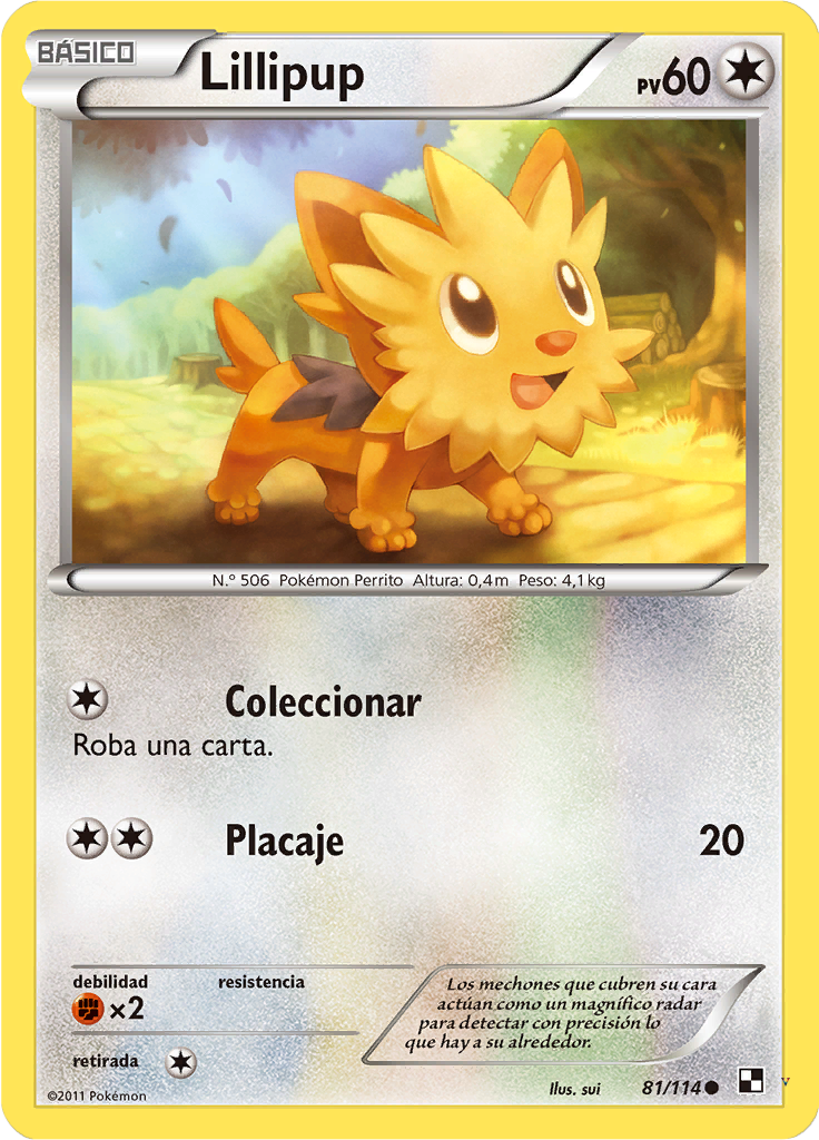Card 81