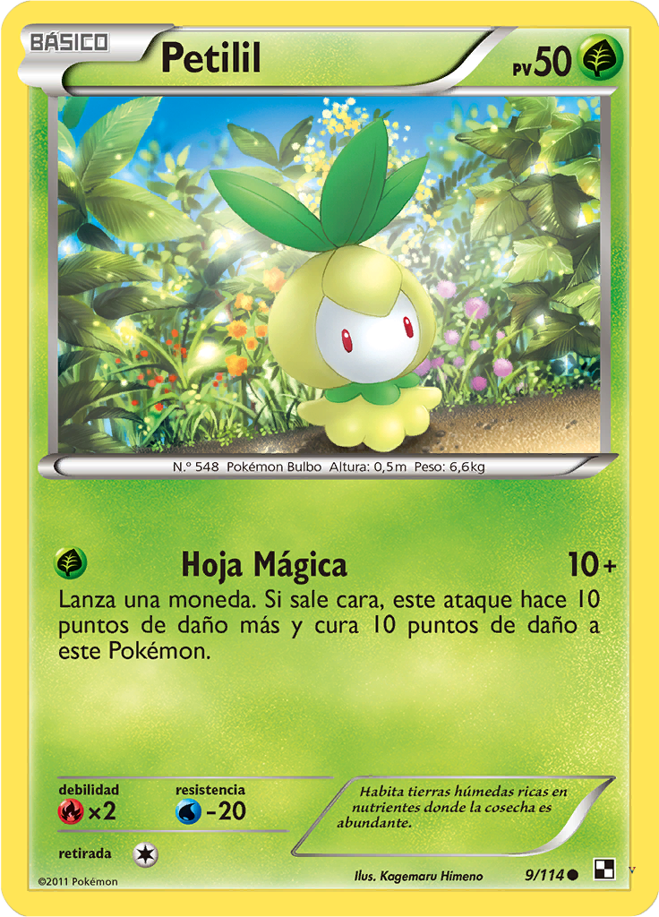 Card 9