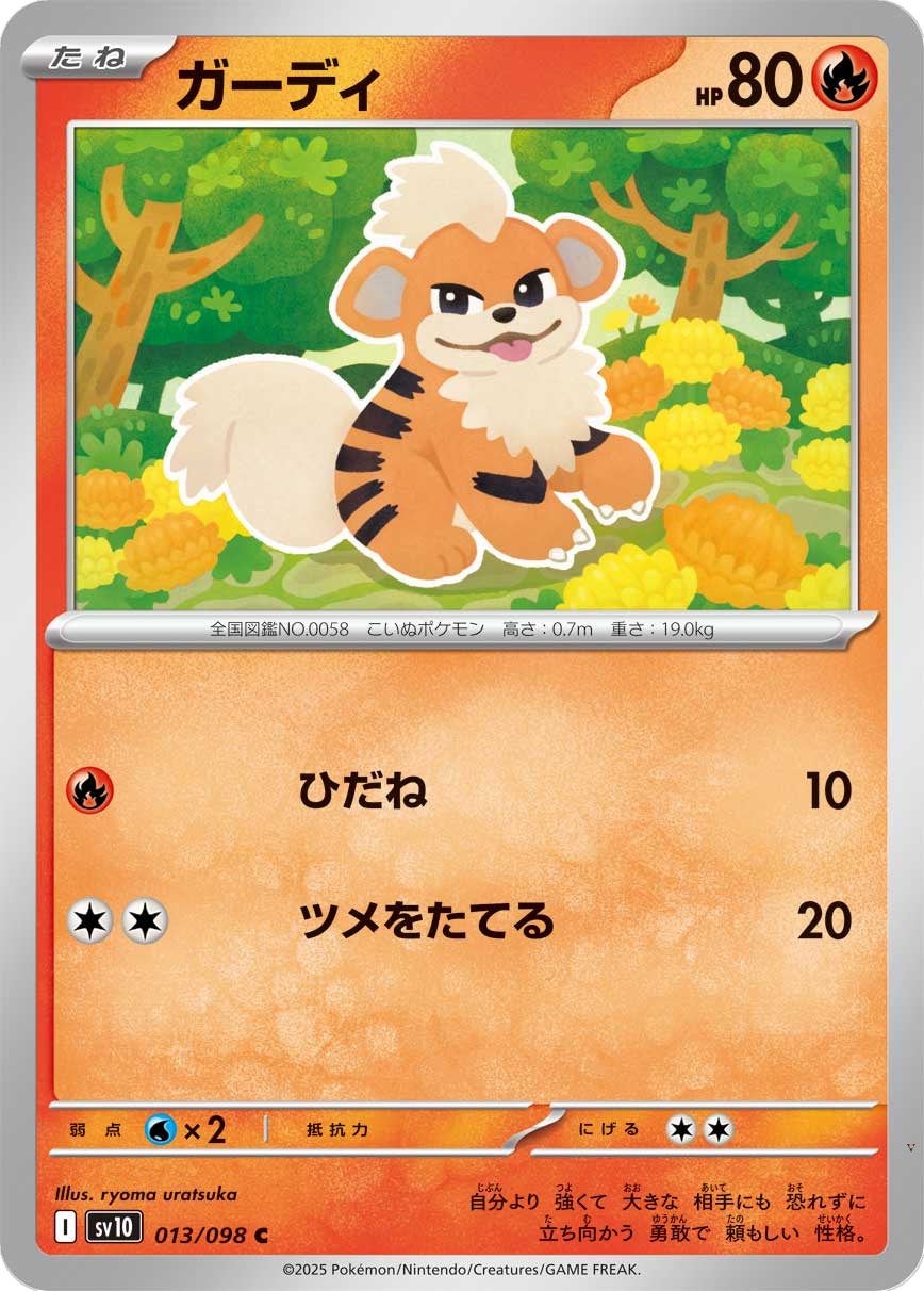 Card 13
