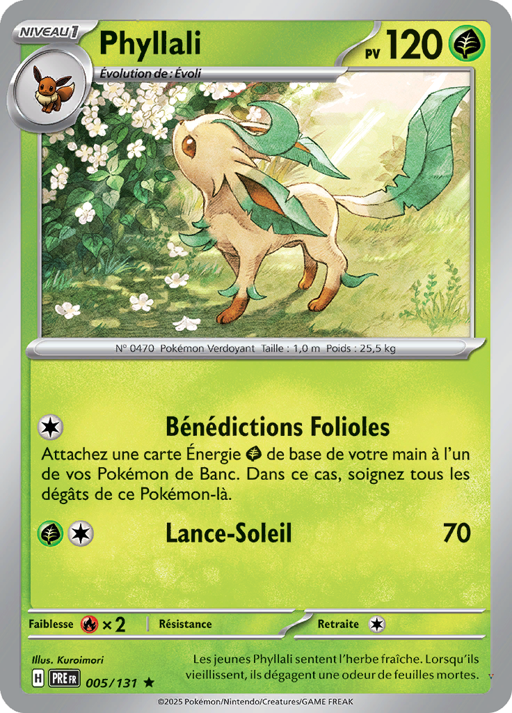 Card 5