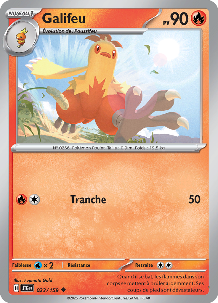 Card 23