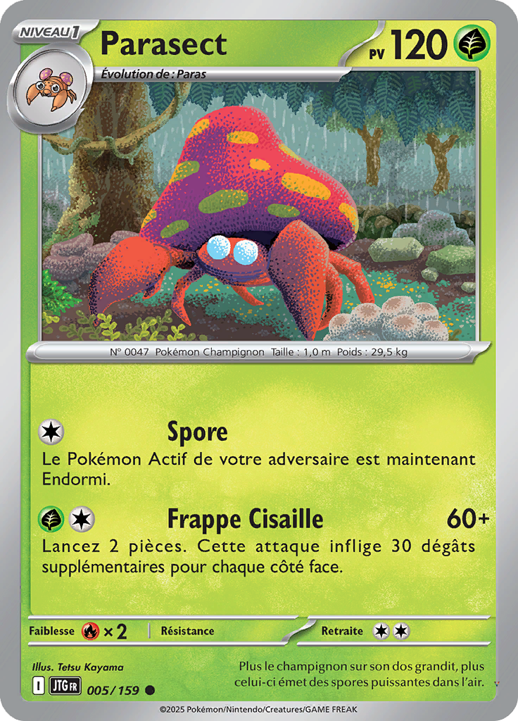 Card 5