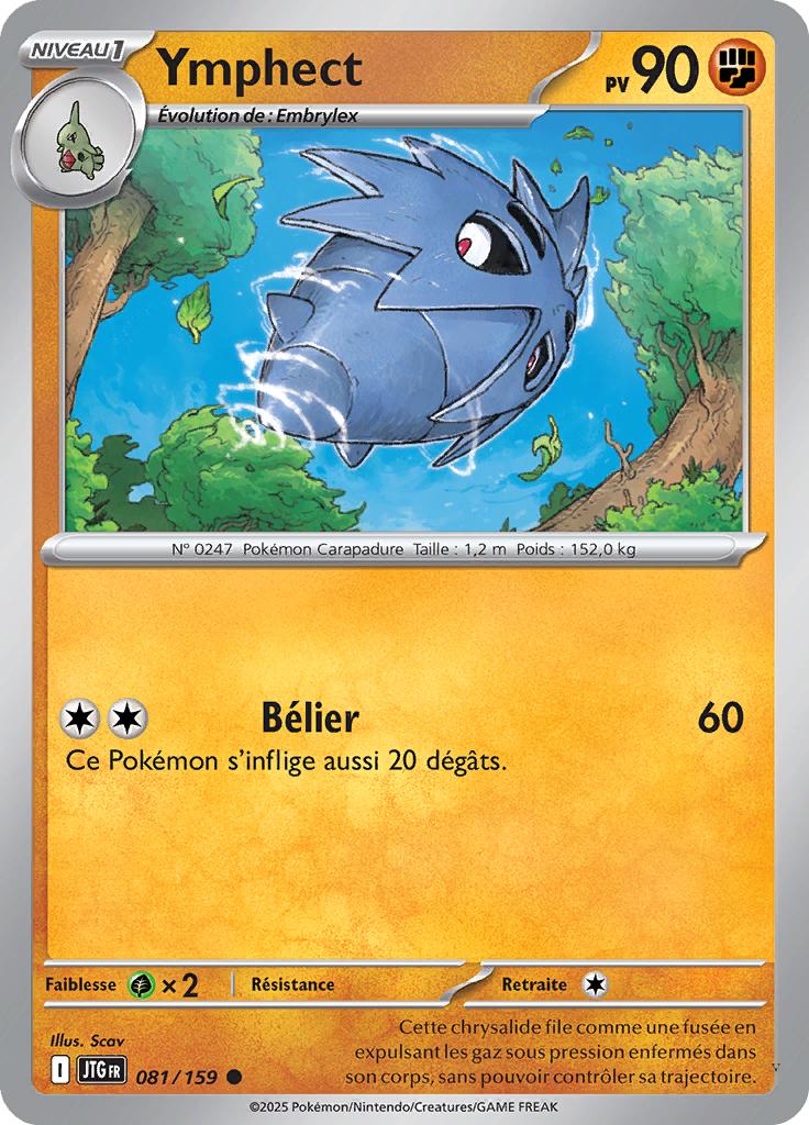 Card 81
