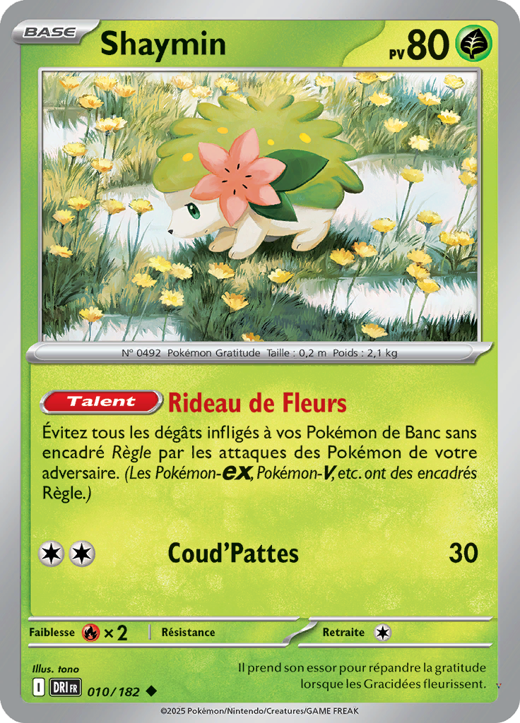 Card 10