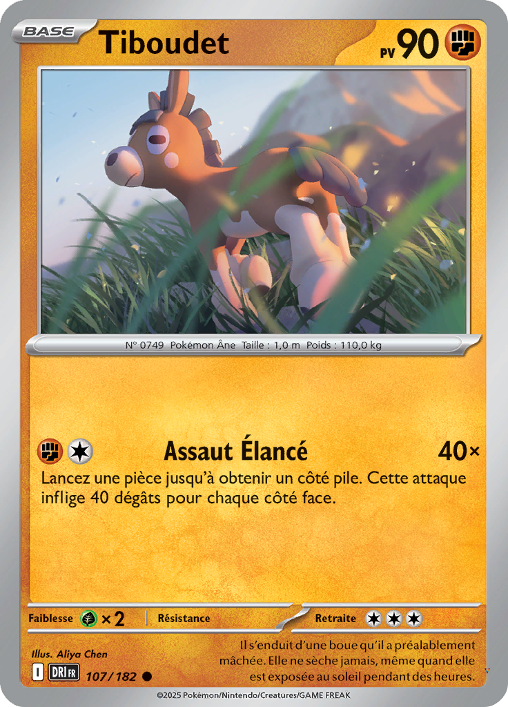 Card 107
