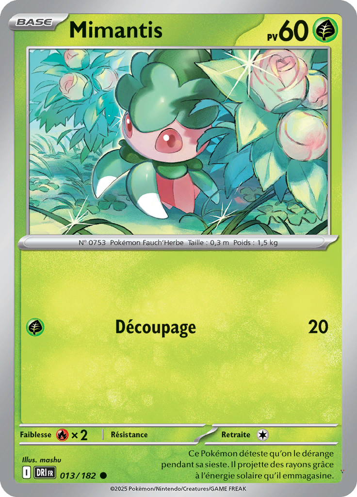 Card 13