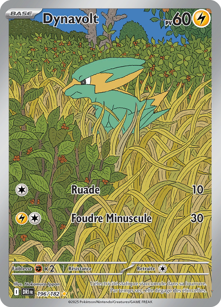 Card 196