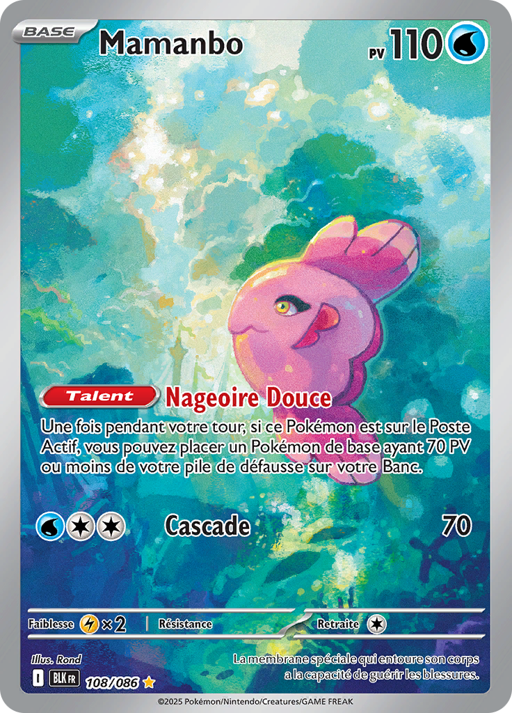 Card 108